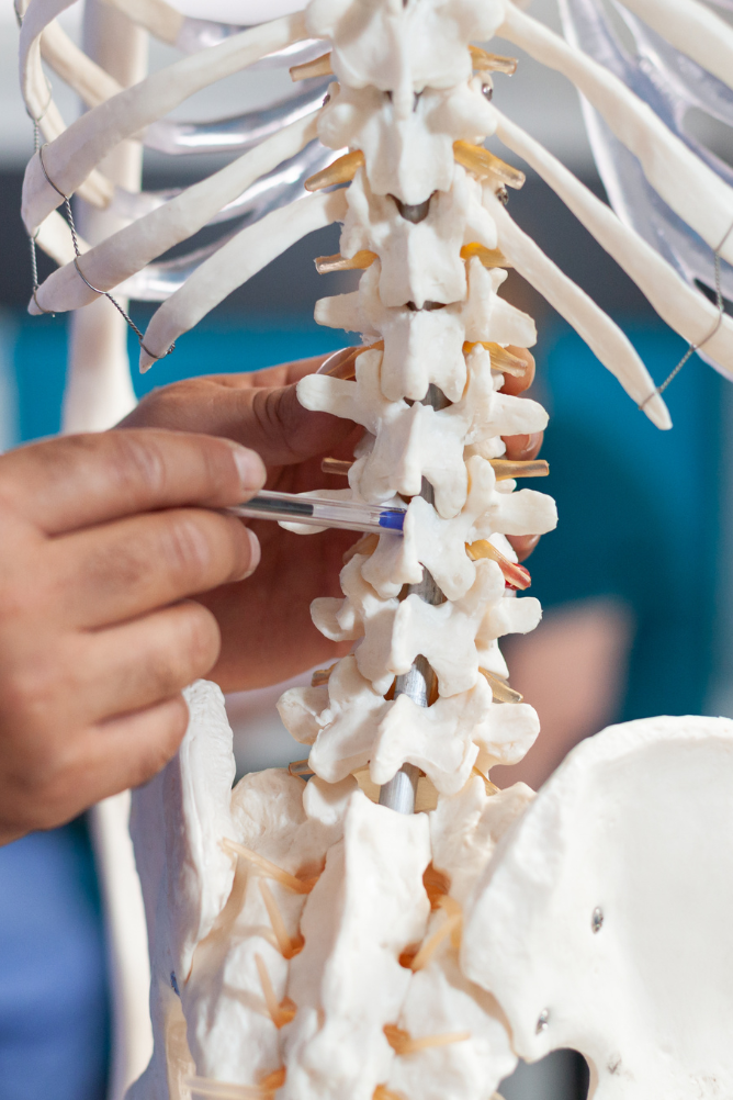 Quais os exames laboratoriais indicados para detectar osteoporose e osteopenia?